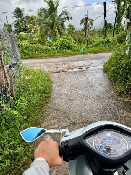 Vườn dừa 1500m² tại Hàm Liêm giá 650 triệu - Sẵn sàng thu hoạch ngay!