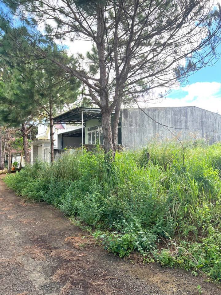 Đất ở KĐT Diên Phú 150m² giá 795 triệu - Sổ đỏ chính chủ, thương lượng tốt!