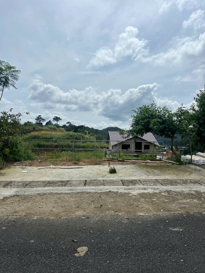 Nhà cho thuê đường An Sơn, Đà Lạt 160m² - View rừng thông tuyệt đẹp!