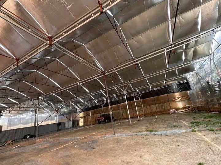 Cho thuê kho P8 Đà Lạt 300m² giá chỉ 7 triệu - Phù hợp kinh doanh!