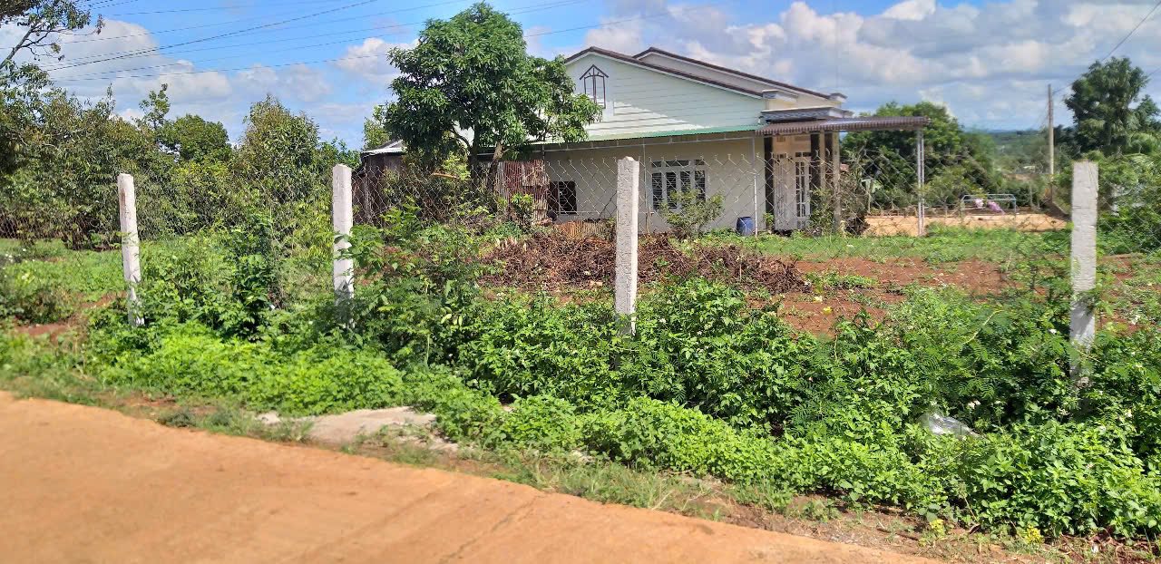 Đất thổ cư 240m² phường Cư Bao, Buôn Hồ giá 650 triệu - Cơ hội đầu tư hấp dẫn!