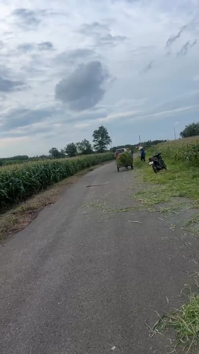 Đất farm Bình Giã Châu Đức 6000m² giá 2.76 tỷ - Đầu tư sinh lời ngay!