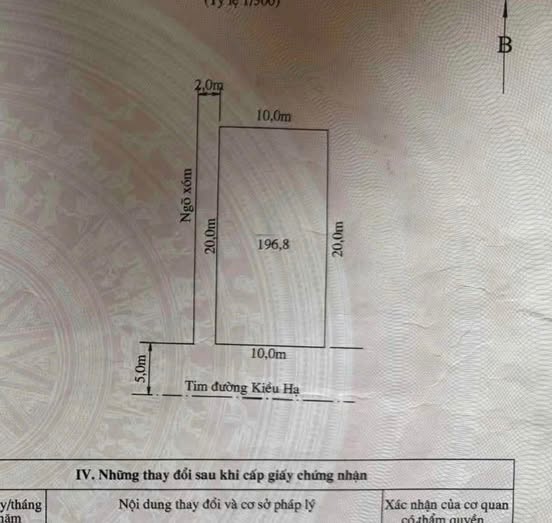 Đất nền mặt đường Kiều Hạ, Đông Hải 196m² - Cơ hội đầu tư hiếm có!