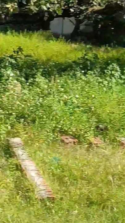 Đất nền Ea Kly, Krông Pắc, Đắk Lắk 275m² giá 350 triệu - Cơ hội đầu tư tuyệt vời!