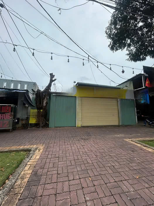 Nhà mặt tiền Bình Giã, TP. Vũng Tàu, 300m² - Giá thuê chỉ 15 triệu/tháng!