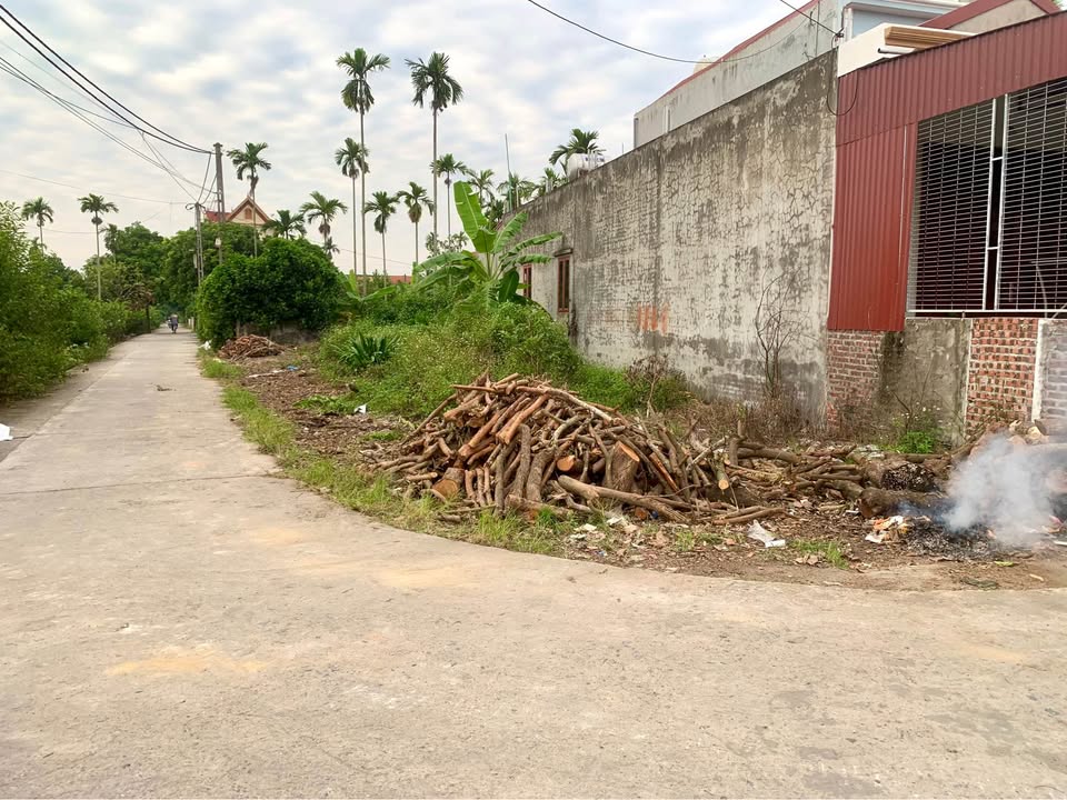 Đất nền Cẩm Chế Thanh Hà 133m² giá chỉ 1 tỷ - Lô góc 2 mặt đường tiện lợi