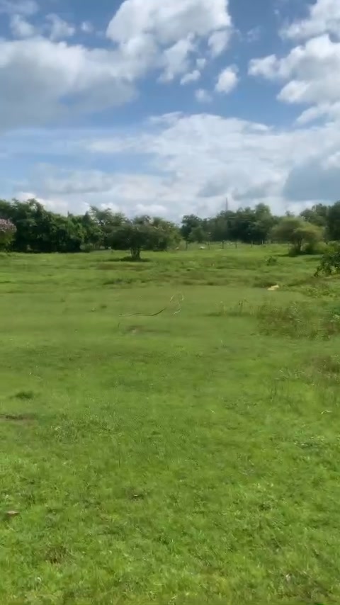 Đất Farm 1ha8 tại Thuận Minh, Hàm Thuận Bắc - Giá chỉ 4.14 tỷ, cơ hội đầu tư hấp dẫn!