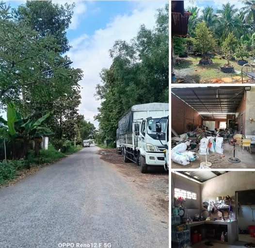Warehouse mặt tiền đường Vành Đai, Phú Khương, Bến Tre 530m² giá 3.45 tỷ - Cơ hội đầu tư hấp dẫn!