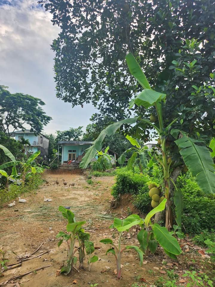 Đất thổ cư 135m² tại Kim Phú 1, Minh Xuân - Giá nhỉnh 2 tỷ, ô tô vào tận nơi!