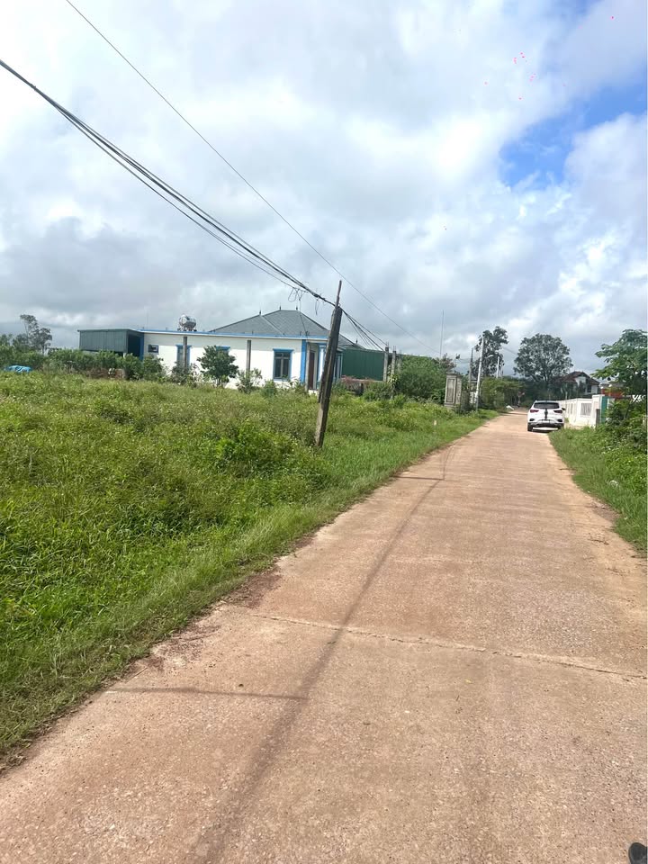 Đất ở Thôn 3 Lý Trạch, Bố Trạch, Quảng Bình 130m² - Đường rộng thoáng mát, dân cư đông đúc!