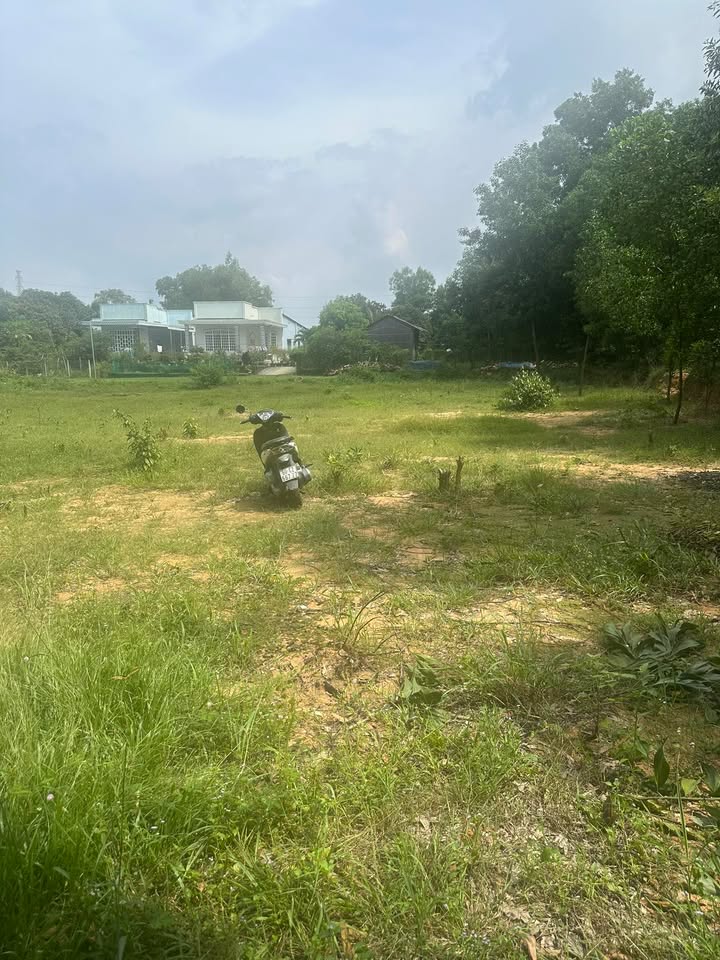 Đất nền Phú Hội Nhơn Trạch 90m² giá chỉ 300 triệu - Sổ hồng chính chủ