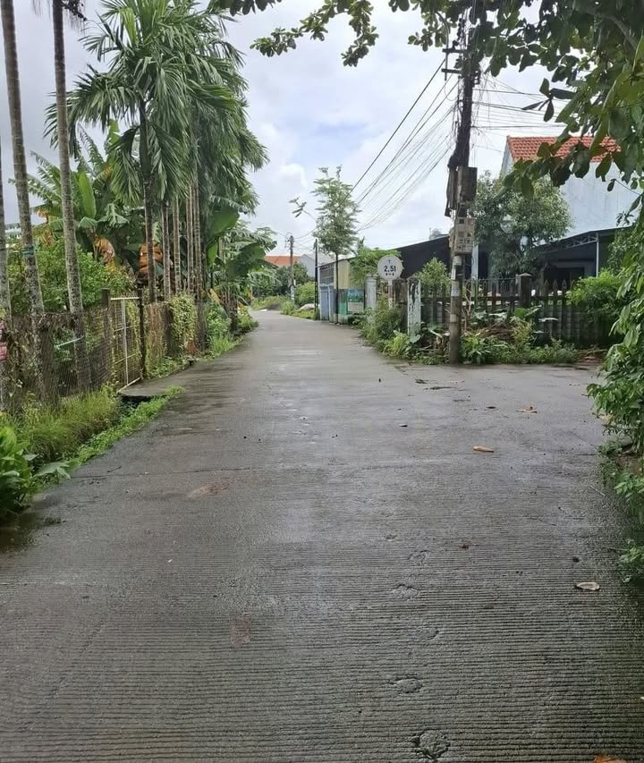 Đất nền đẹp tại La Hà, Tư Nghĩa 150m² giá 800 triệu - Cơ hội đầu tư tuyệt vời!