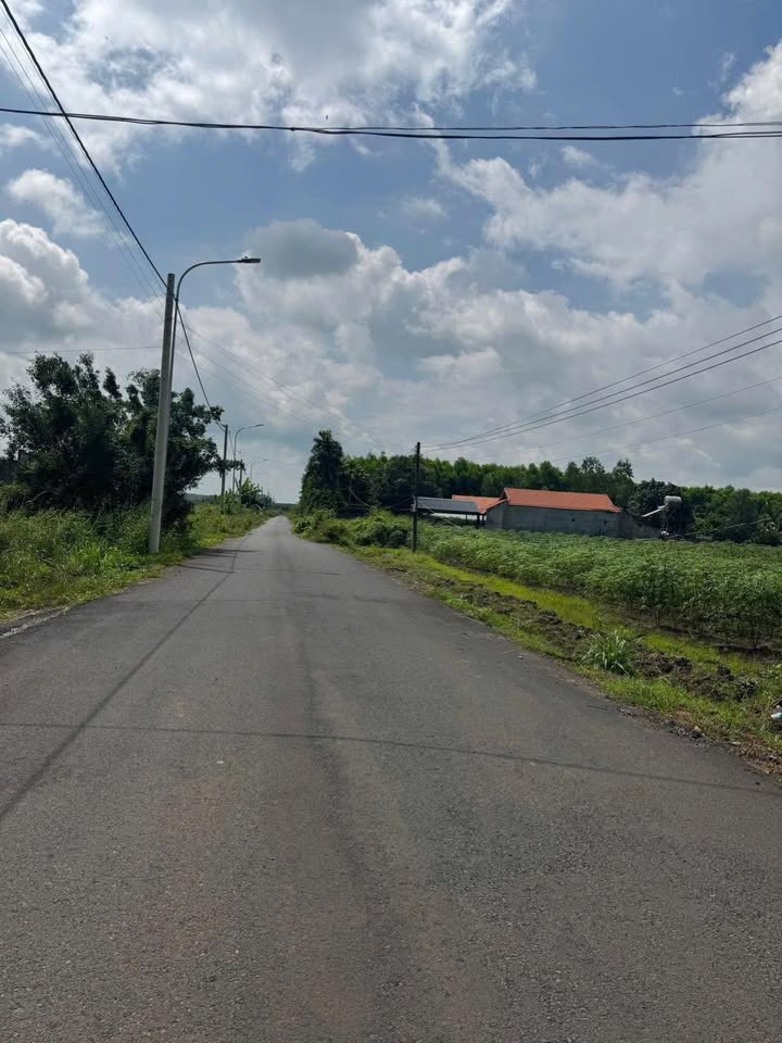 Đất nền Đá Bạc Châu Đức 195m² giá 595 triệu - Pháp lý rõ ràng, sổ đỏ sắp có!