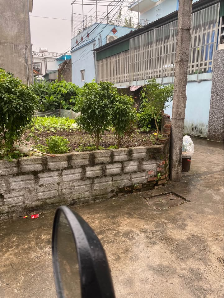 Đất nền Đại Lai 1, Phú Xuân, Thái Bình 62m² giá 1.1 tỷ - Lô góc ô tô thông thoáng!