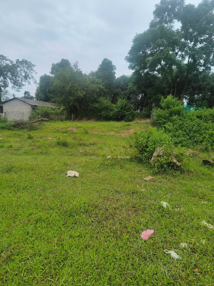 Đất thổ cư Lưỡng Vượng Tuyên Quang 240m² giá 2.2 tỷ - Sổ hồng chính chủ!