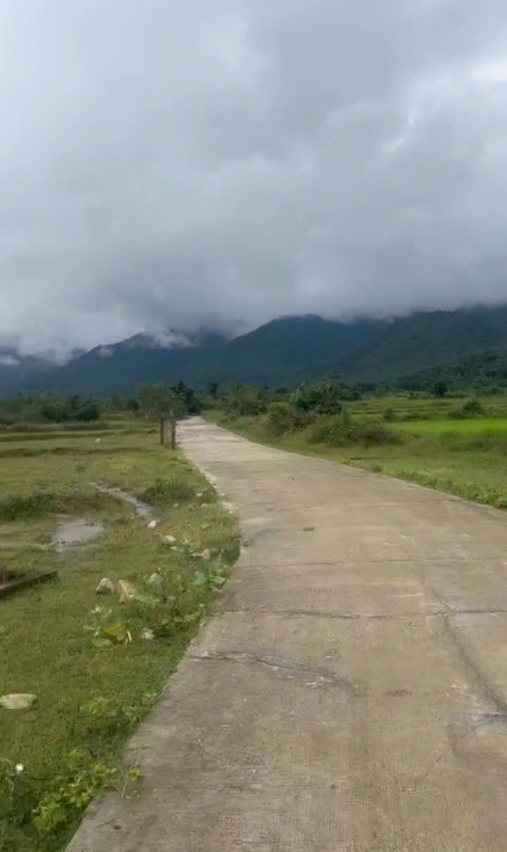 Đất mặt tiền đường bê tông xã Thuận Minh 3600m² giá 140 triệu - Cơ hội đầu tư hấp dẫn!