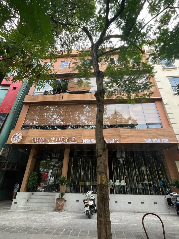 Mặt bằng kinh doanh cho thuê tại Nguyễn Đình Chiểu 100m² - Mặt tiền 8m, vị trí đắc địa!