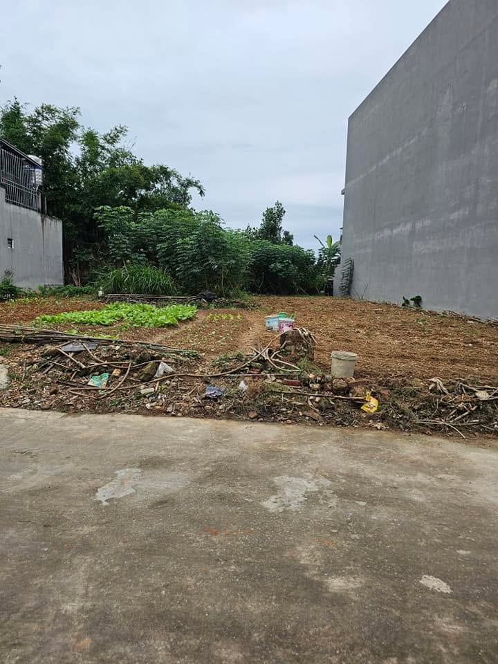 Đất thổ cư Thịnh Đán 130m² - Ô tô vào tận nơi, giá thỏa thuận!