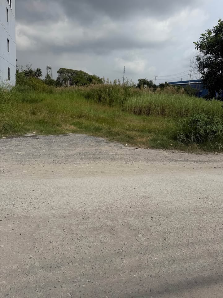 Đất nền mặt tiền đường nhựa Đức Hòa Hạ 135m² giá 2.35 tỷ - Vị trí đẹp, sổ hồng chính chủ!