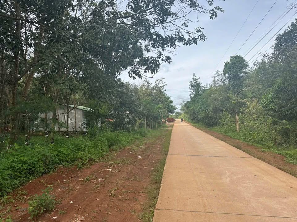 Đất nông nghiệp Ea Khal 10000m² giá 3.2 tỷ - Đầu tư sinh lời ngay!