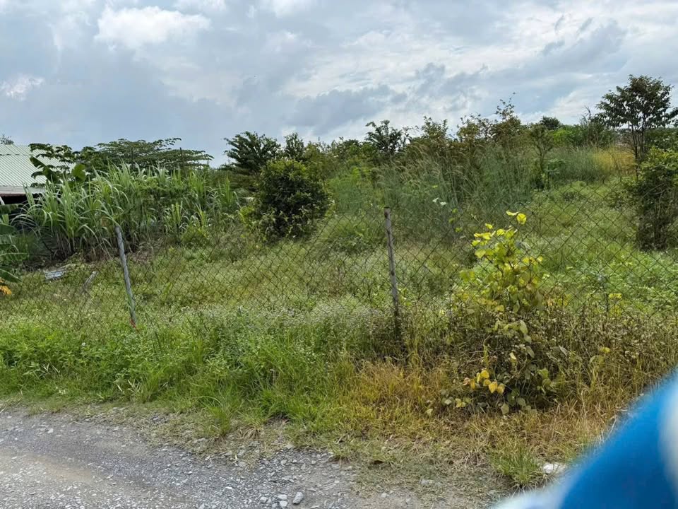 Đất nền khu dân cư Cát Tường Phú Nguyên 1865m² giá 4.7 tỷ - Tiềm năng đầu tư lớn!