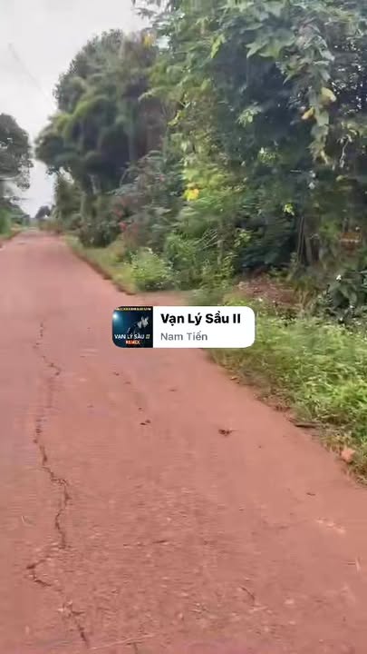 Đất nền Cư Suê, Cư M'gar 150m² giá 360 triệu - Sổ đỏ chính chủ!