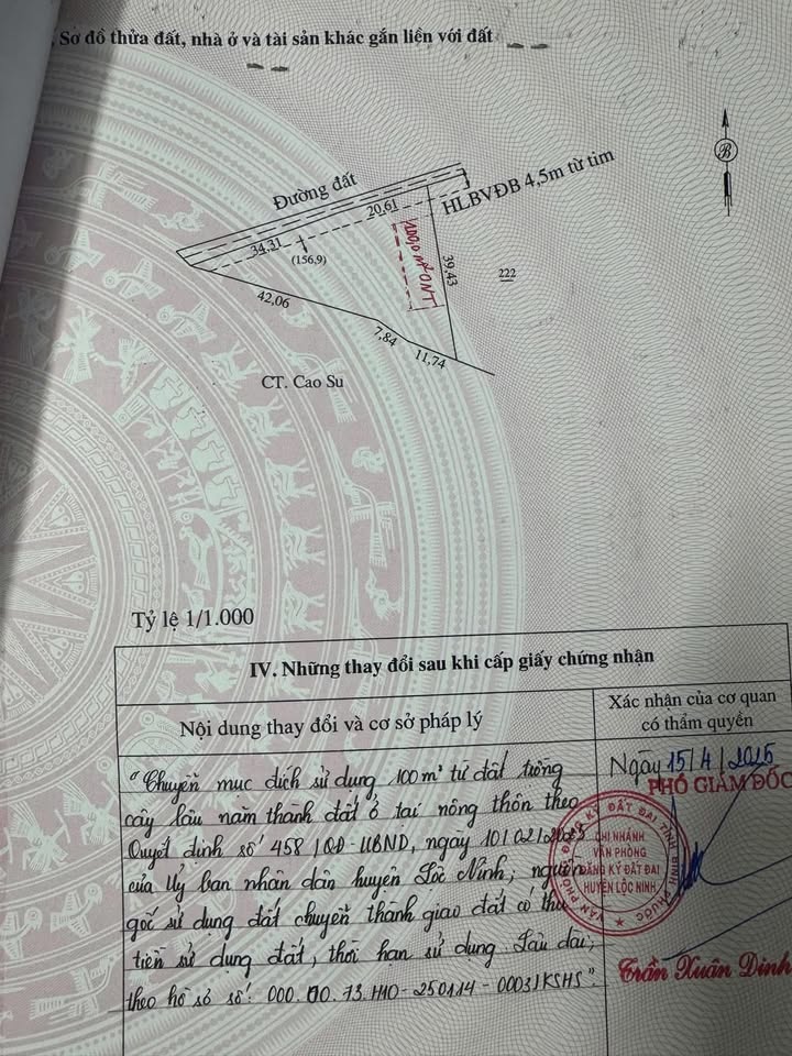 Đất thổ cư ấp 5 Lộc Thái 3600m² giá 490 triệu - Mặt tiền bê tông rộng rãi