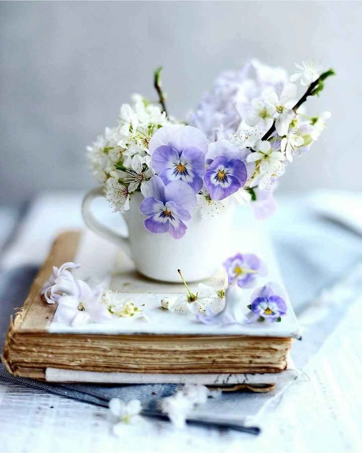 Đất thổ cư Măng Lin, phường Langbiang 216m² giá 4.5 tỷ - Sổ đỏ riêng, xây dựng tự do!