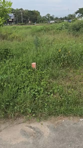 Đất nền Bình Tân, La Gi 130m² giá 890 triệu - Đường Nguyễn Trãi chỉ 100m!