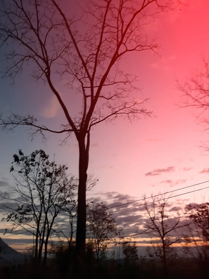 Đất Cam Phúc Bắc, Cam Ranh 90m² giá 1.3 tỷ - Đường ô tô bê tông, dân cư đông đúc!