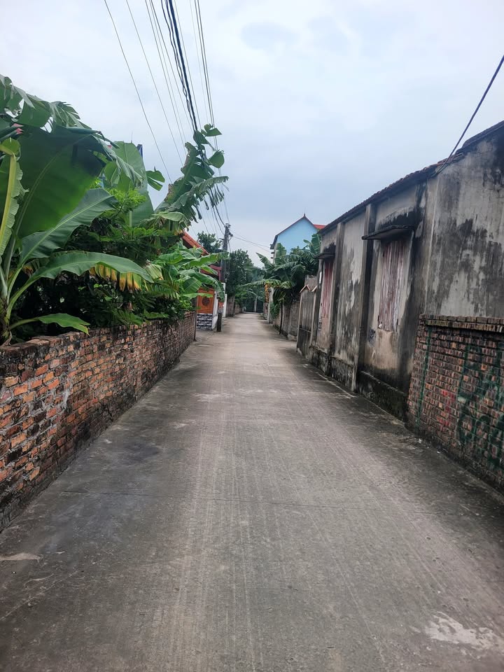 Đất nền Tân Tiến Bắc Giang 151m² giá thỏa thuận - Cơ hội đầu tư tuyệt vời!