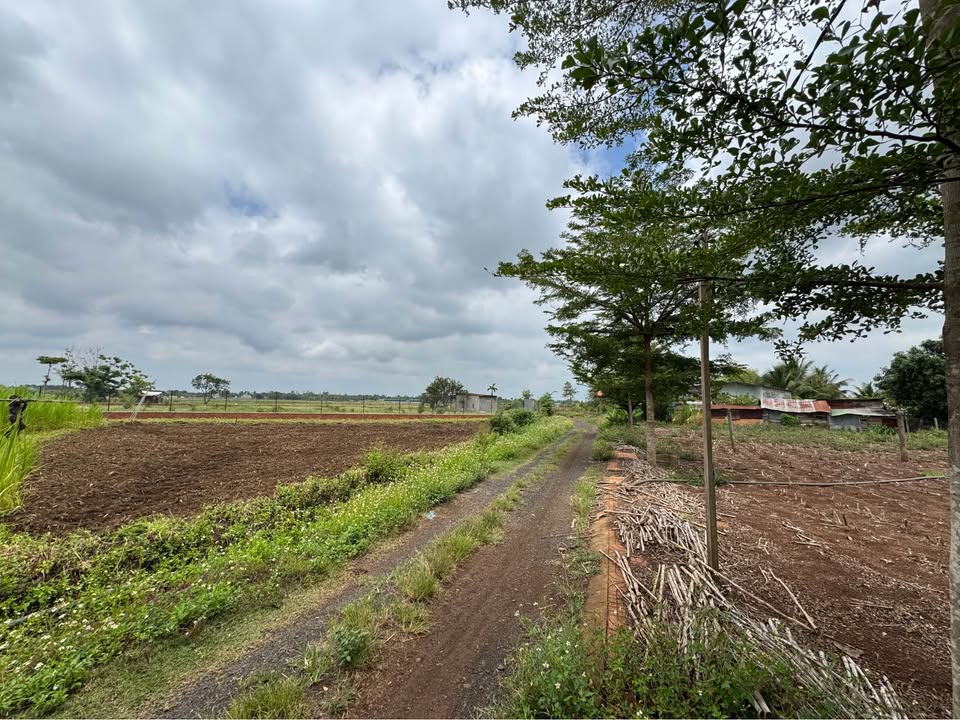 Đất nền phường Thành Nhất, Buôn Ma Thuột 820m² giá 6.255 tỷ - Cơ hội đầu tư sinh lời cao!