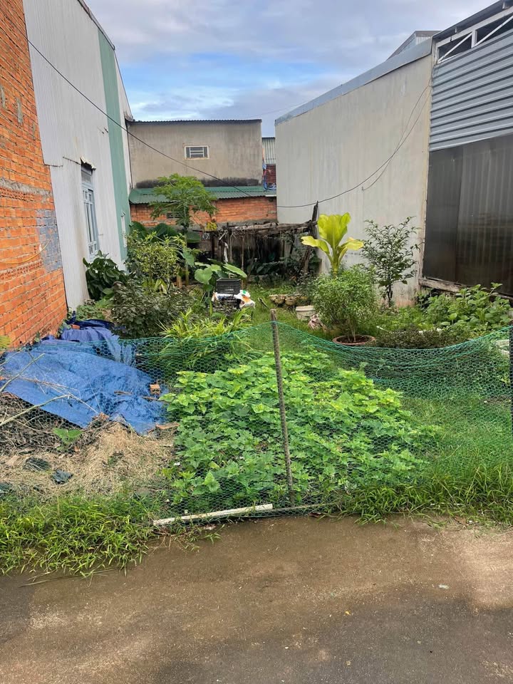 Đất hẻm ô tô Tân Hoà Buôn Ma Thuột 85m² giá 1.2 tỷ - Cơ hội đầu tư tuyệt vời!