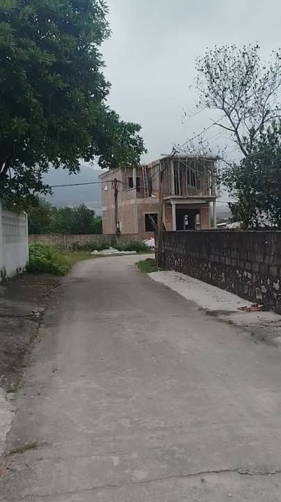 Đất nền 100m² phường Mạo Khê Đông Triều giá chỉ 500 triệu - Cơ hội đầu tư vàng!