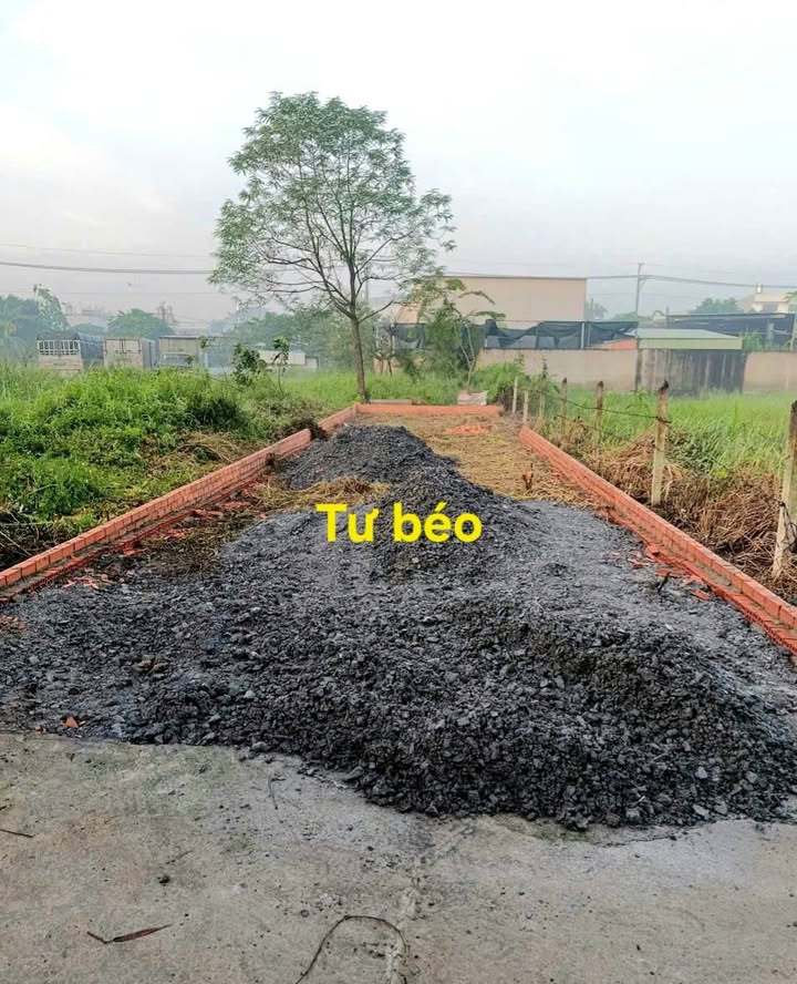 Đất nền Hóc Môn 119m² giá 3.6 tỷ - Vị trí đẹp, xây dựng tự do!