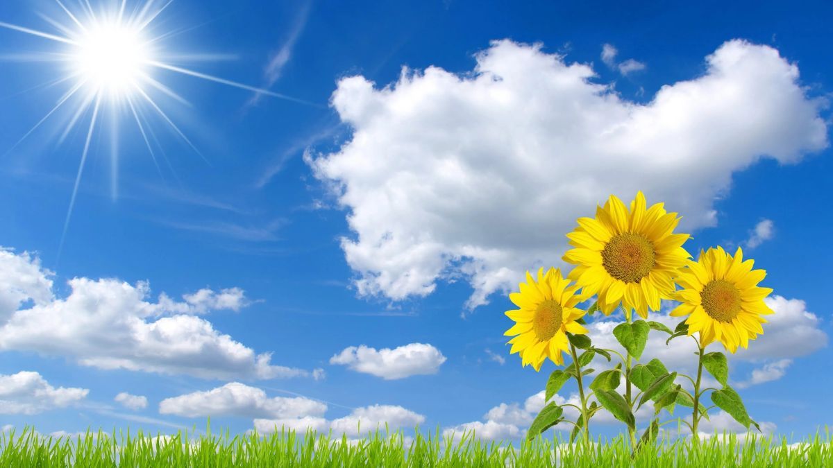 Đất Cam Phúc Bắc 180m² giá 1.1 tỷ - Nở hậu, thích hợp đầu tư!