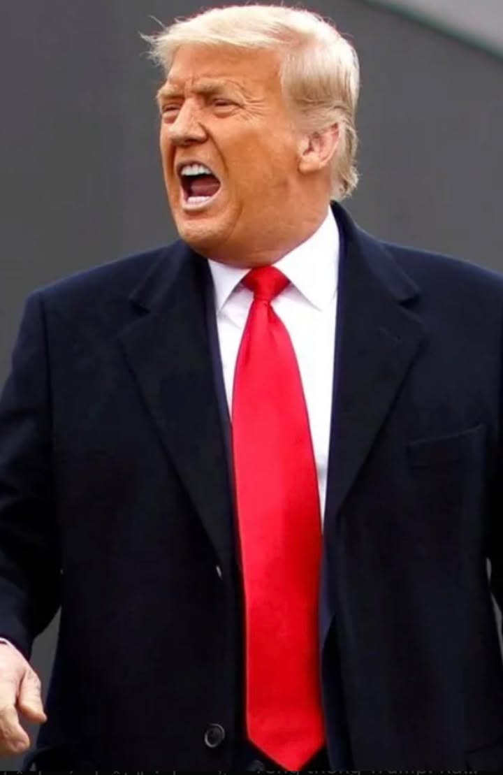 Đất nền Bến Cát 1800m² giá tốt - Cơ hội đầu tư tuyệt vời!