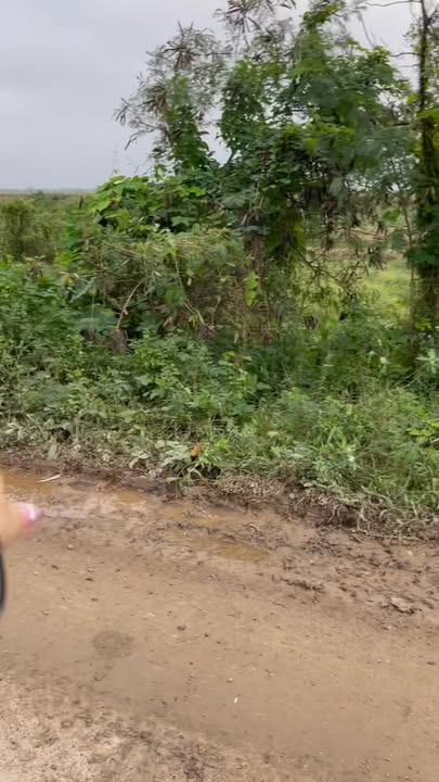 Đất nền Nga Tân 108m² giá 800 triệu - Cơ hội đầu tư tuyệt vời!