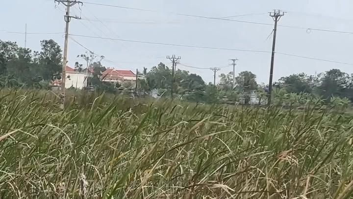 Đất nền 200m² tại Tuy Lộc, Hậu Lộc chỉ 500 triệu - Cơ hội đầu tư hấp dẫn!