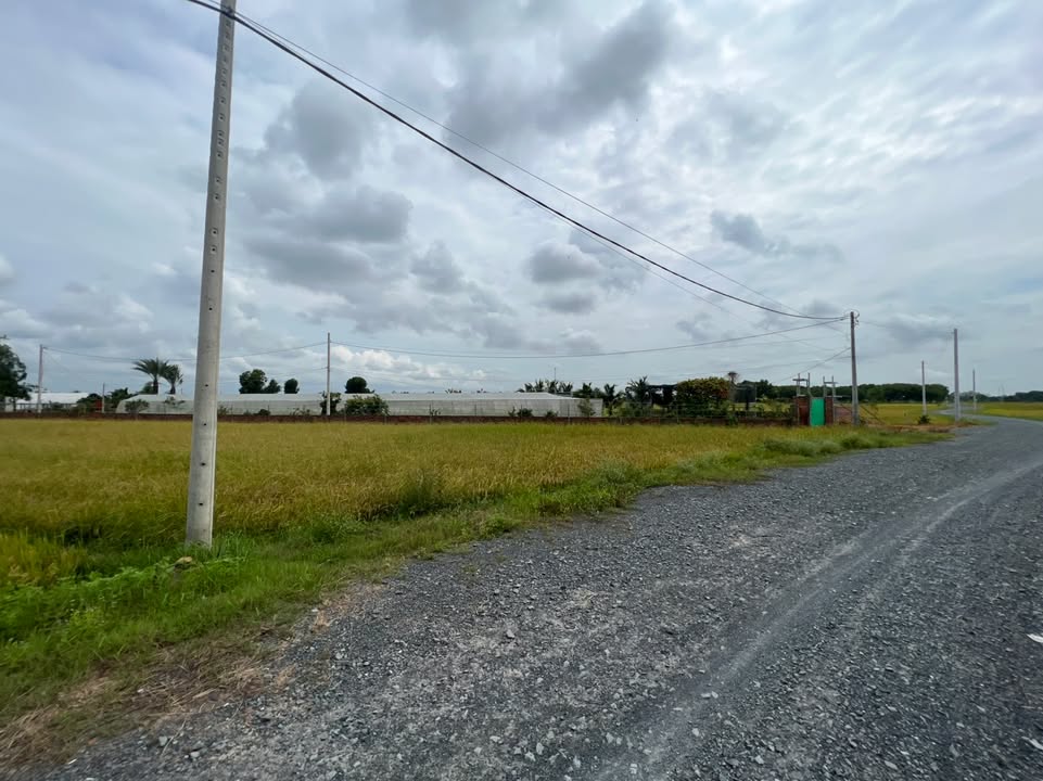 Lô đất vườn 917m² Trung Lập Hạ, Củ Chi - Giá chỉ 1.75 tỷ, thương lượng ngay!