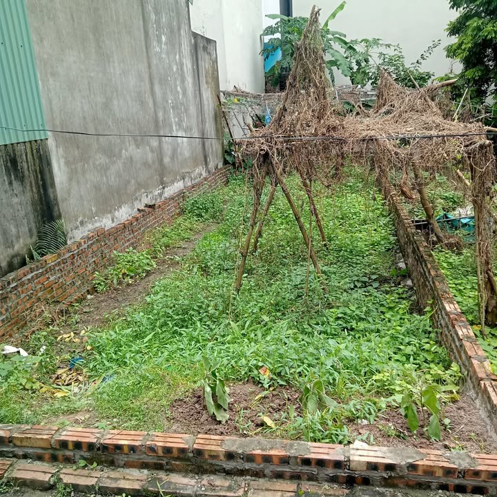 Đất nền Thạch Bàn 50m² giá 5 tỷ - Kết nối ngay để xem đất!