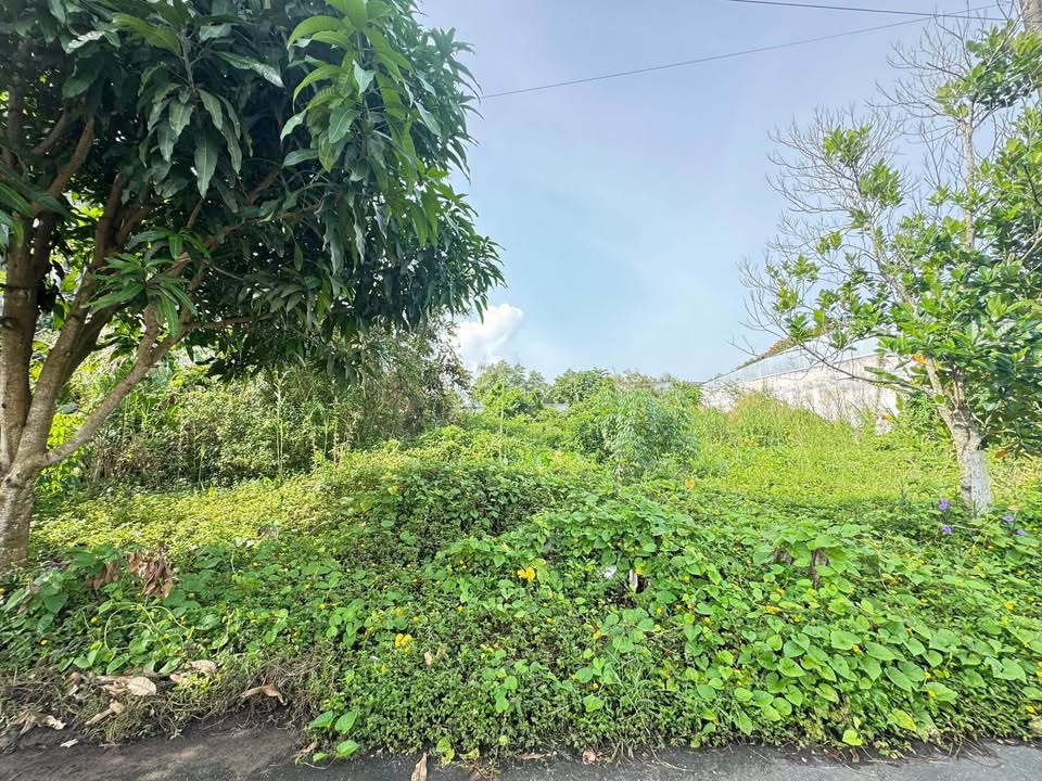 Đất nền KDC Tân Xuyên 100% thổ cư, 2394m² giá 1.2 tỷ - Đầu tư sinh lời ngay!