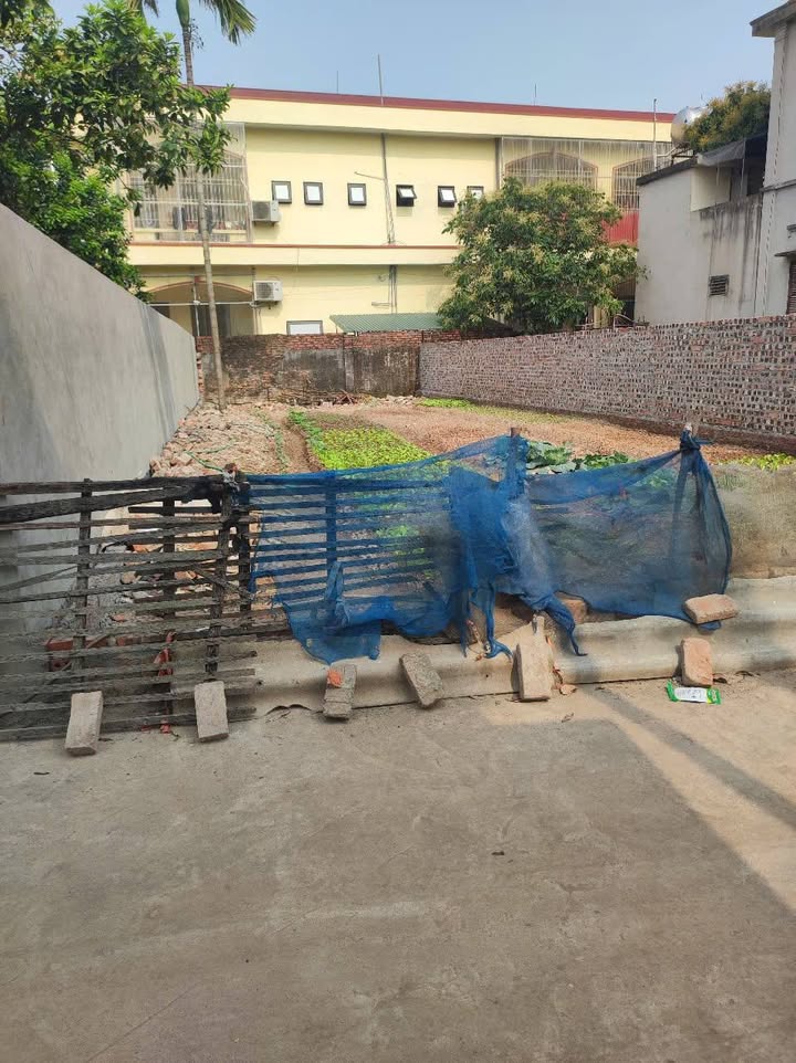 Đất nền Võng Xuyên, Phúc Thọ 127m² giá 4.2 tỷ - Đầy đủ tiện nghi, gần trường học!