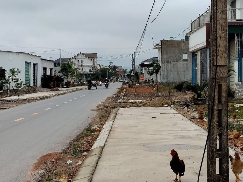 Đất đấu giá Nghi Kiều 160m² giá 2.9 tỷ - Đường nhựa bám sát!