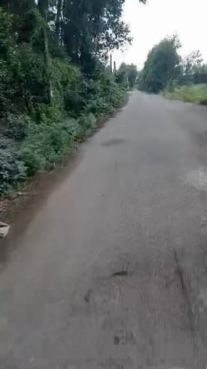 Đất thổ cư xã Long Phước, Long Thành 120000m² - Sổ đỏ chính chủ, giá thỏa thuận!