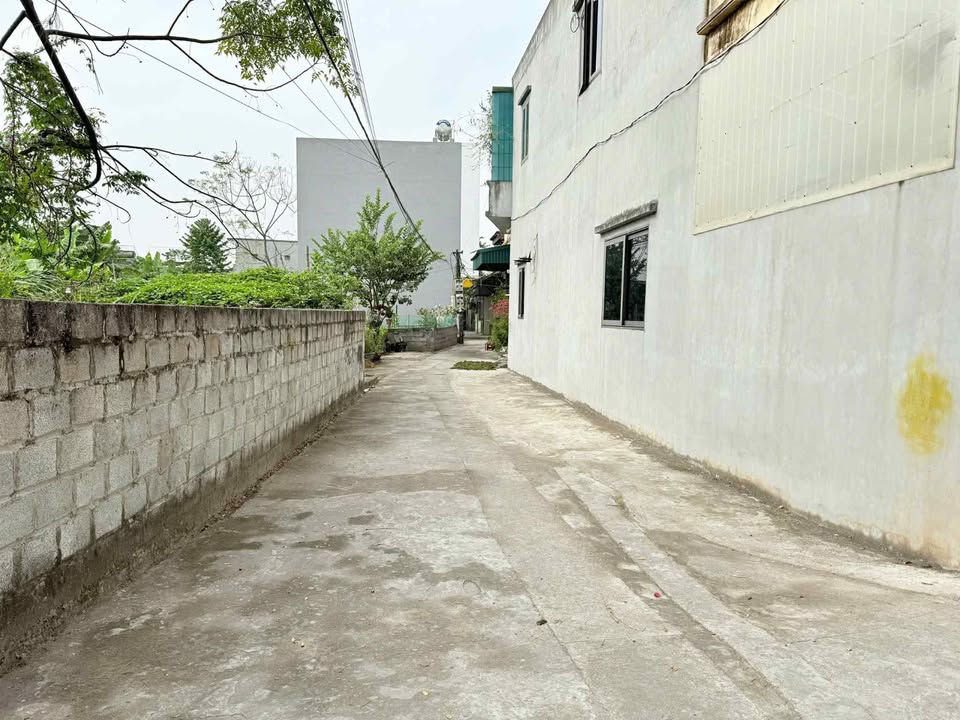 Đất nền Trần Hưng Đạo, Thái Bình 46.5m² giá chỉ 1.2 tỷ - Pháp lý rõ ràng!