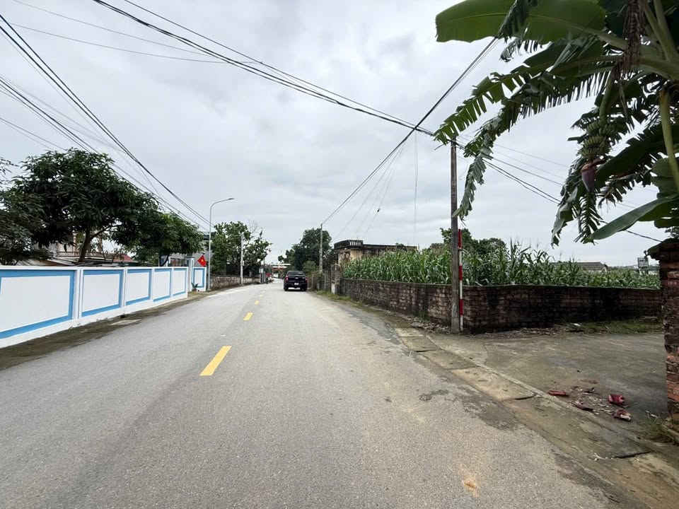 Đất nền Tản Lĩnh Ba Vì 620m² giá thỏa thuận - Lô góc cực đẹp, đầu tư lý tưởng!