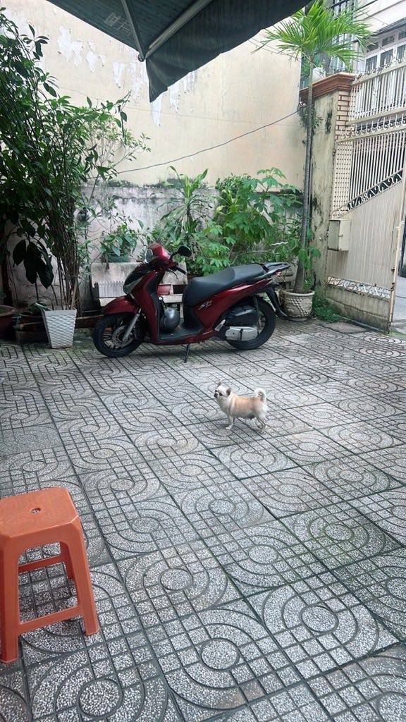 Biệt thự Cách Mạng Tháng Tám, Quận 10, 188m² - Thiết kế sang trọng, tiện nghi