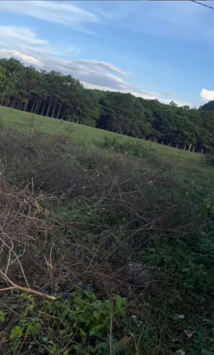 Đất mặt tiền Võ Nguyên Giáp, TP Pleiku, 3200m² - Tiềm năng đầu tư vượt trội!