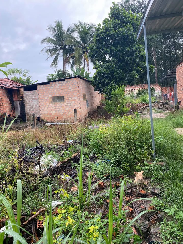 Đất thổ cư 125m² tại Đăk Cấm, Kon Tum - Giá chỉ 4xx triệu!